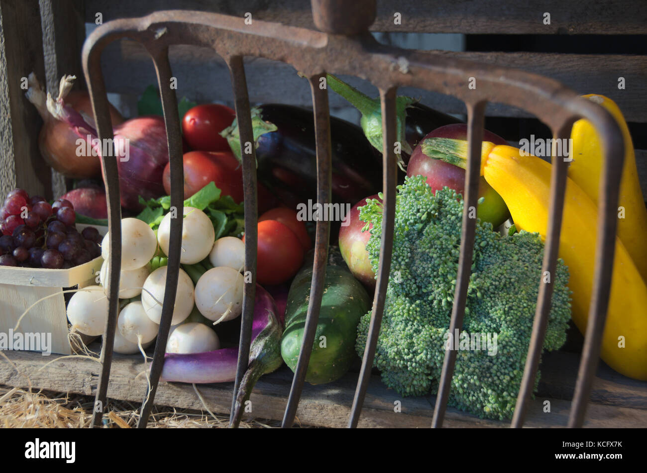 CSA Basket Panier Bio ASC Small Scale Farming Farmers Market Organic ...