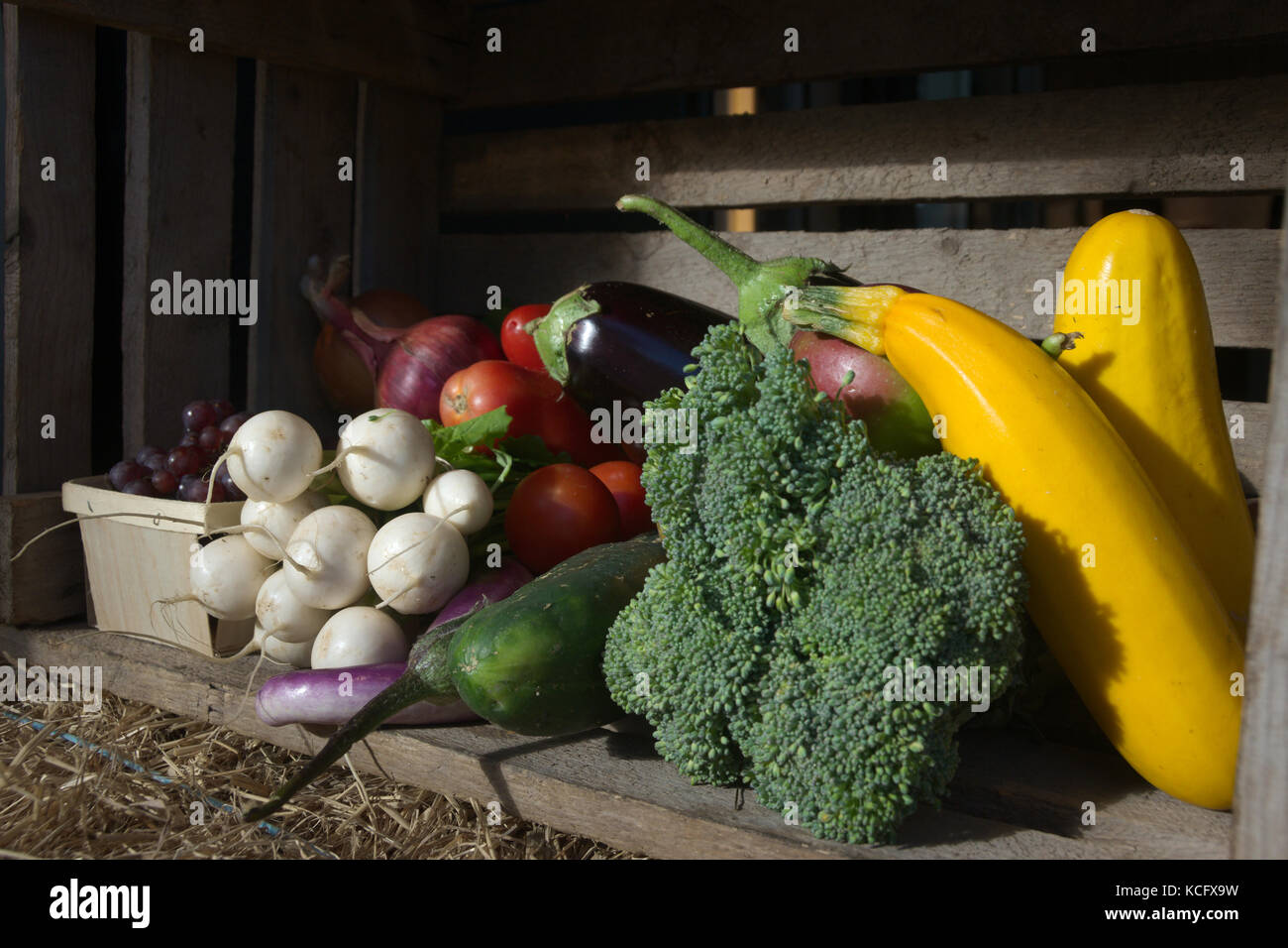 Bio marche hi-res stock photography and images - Alamy