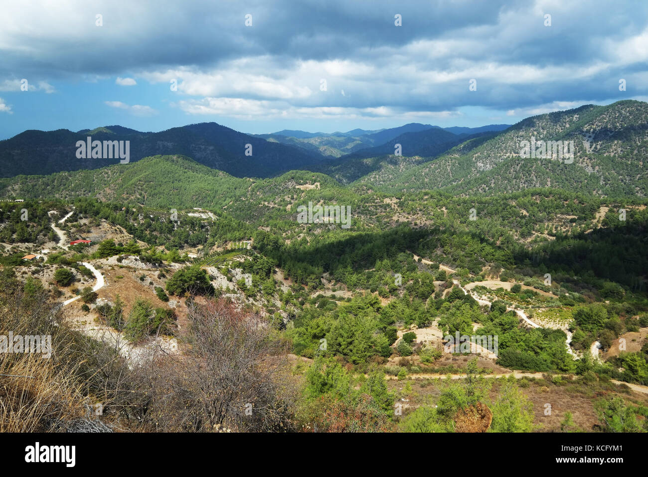Paphos forest near Kannaviou in the Paphos district of Cyprus. Stock Photo