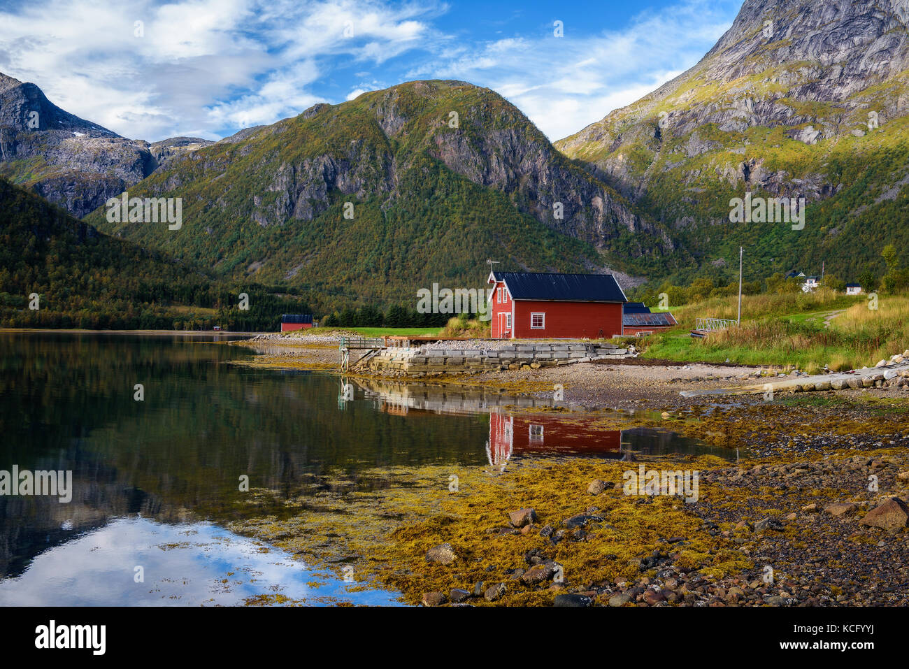 Traditional red rorbu cottages at the sea on Lofoten islands in Norway Stock Photo