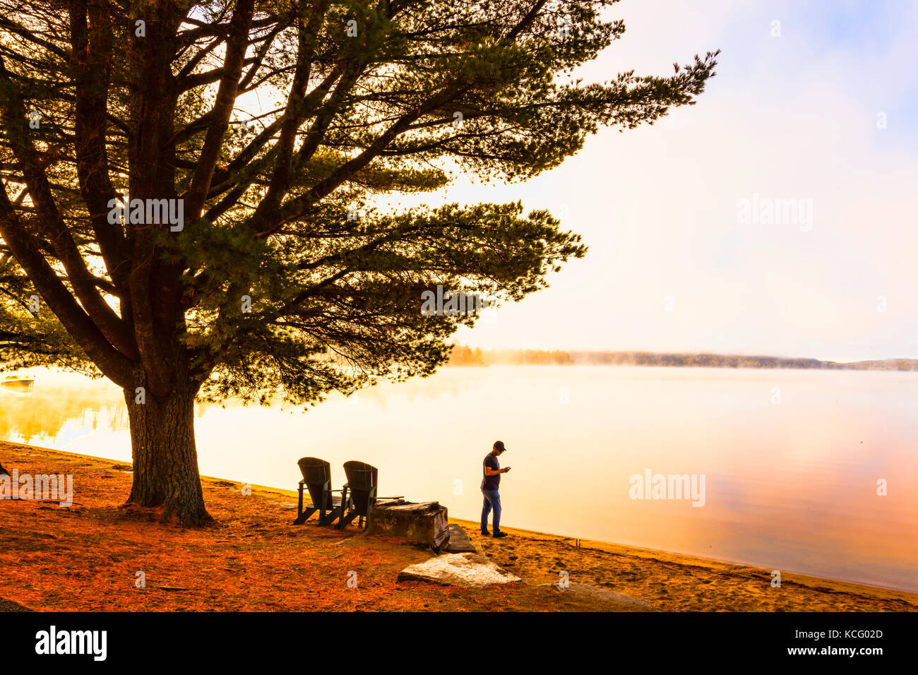 Sunrise at Canada,Ontario,Huntsville,Dwight, Dwight Beach sommer