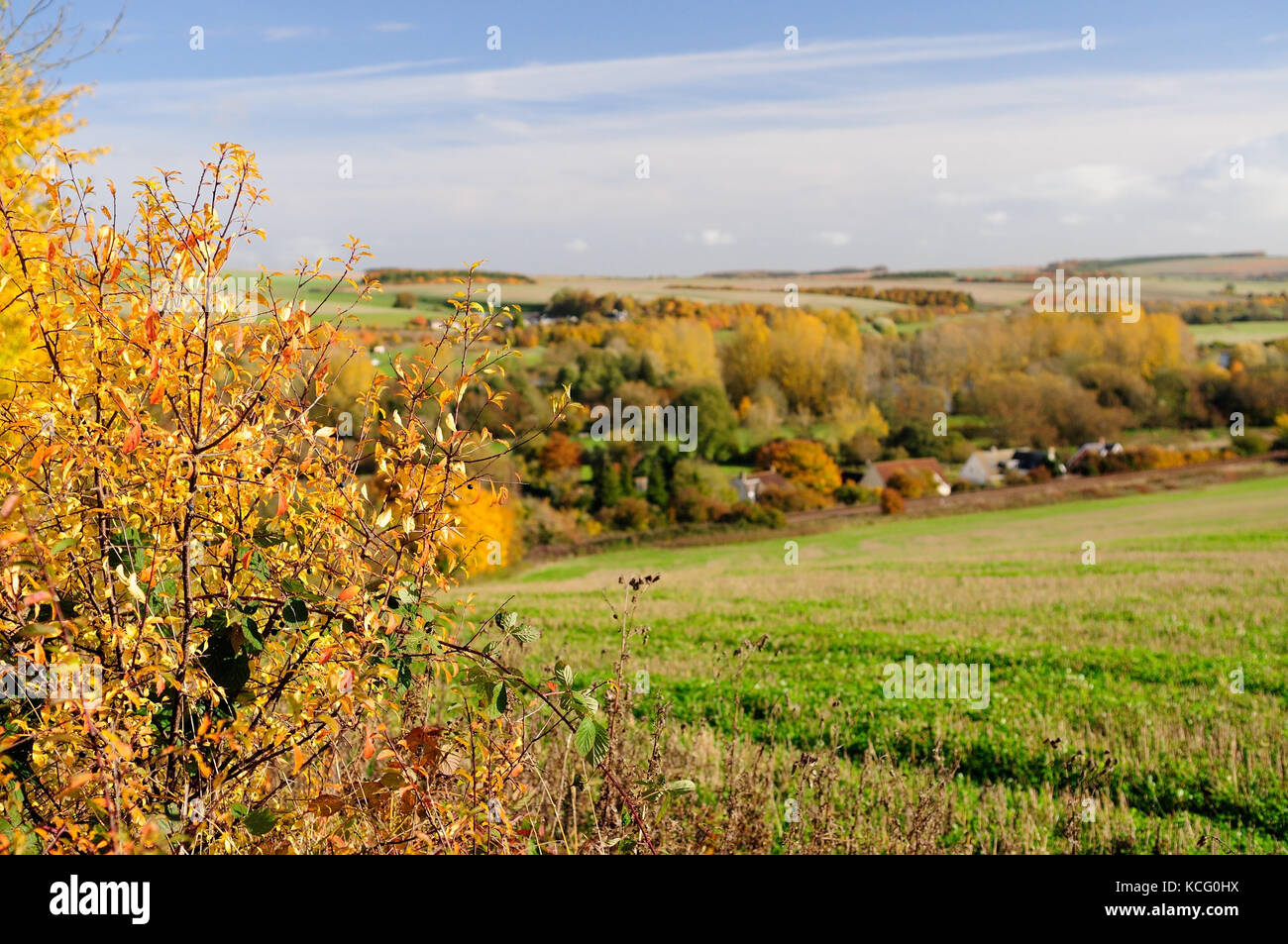 Autumn colours in the Wylye Valley. Stock Photo