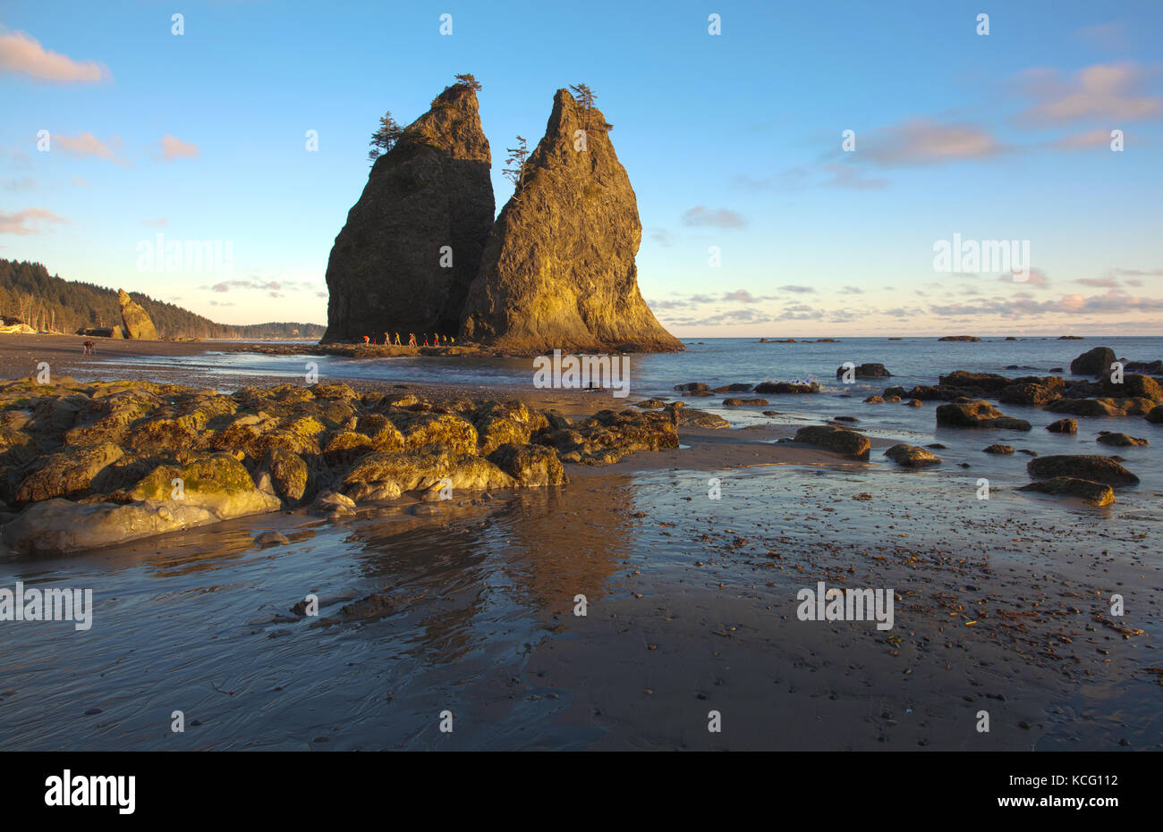 Clallam county hi-res stock photography and images - Alamy Clallam county hi-res stock photography and images - Alamy