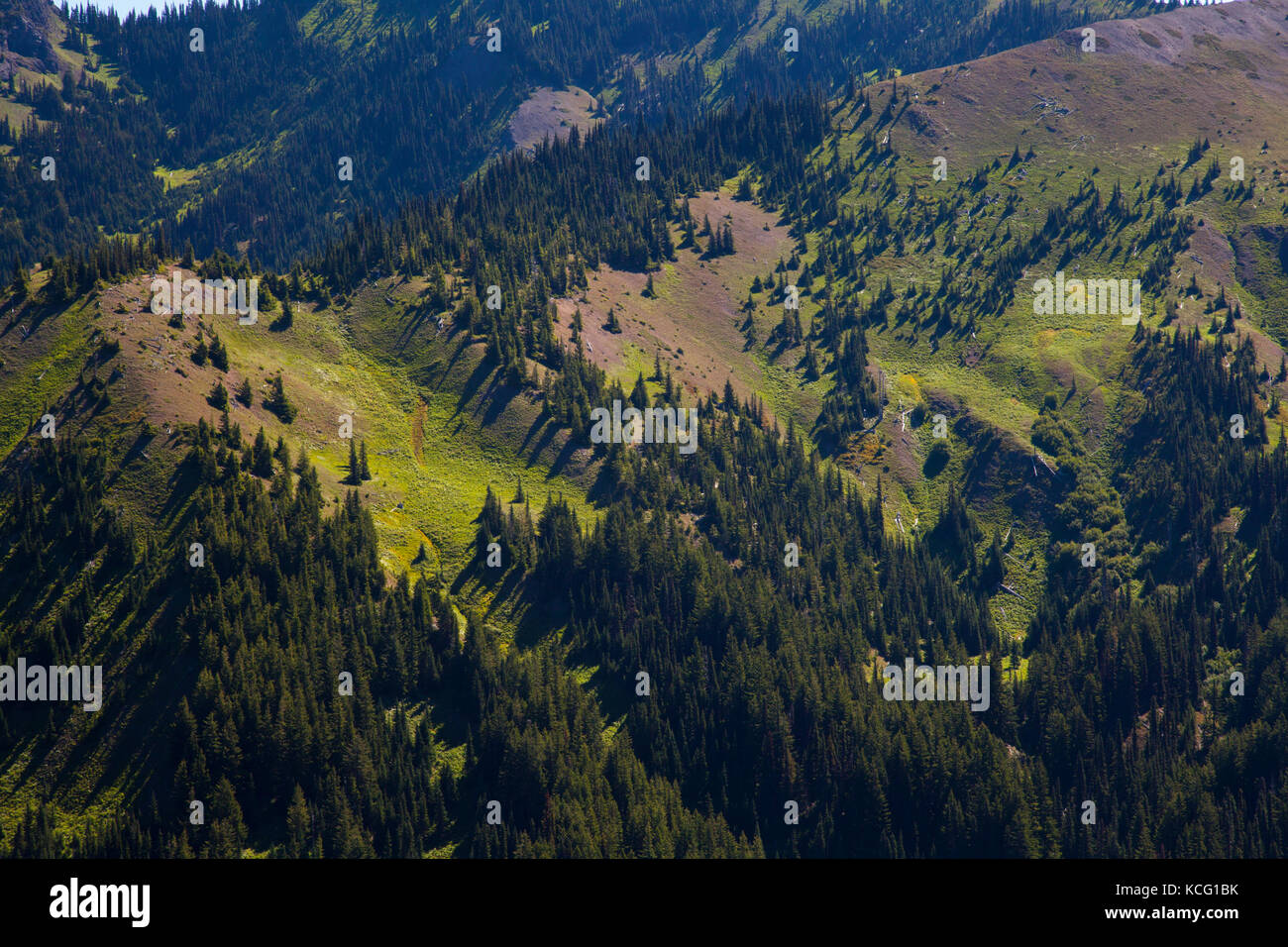 Hiker enjoys the view of the Olympic mountain range seen in Olympic National Park in Washington Stock Photo