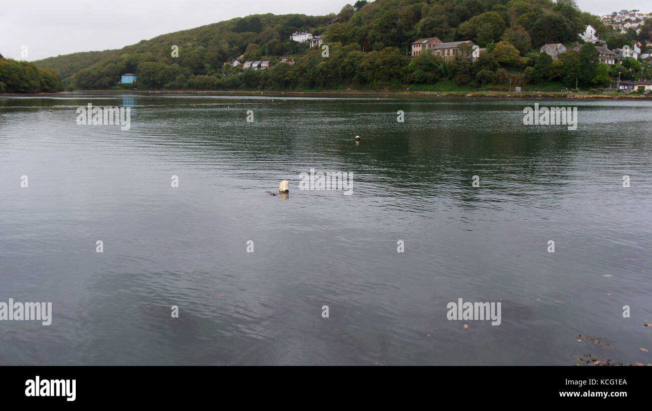 Where two rivers converge, Looe Cornwall, UK Stock Photo