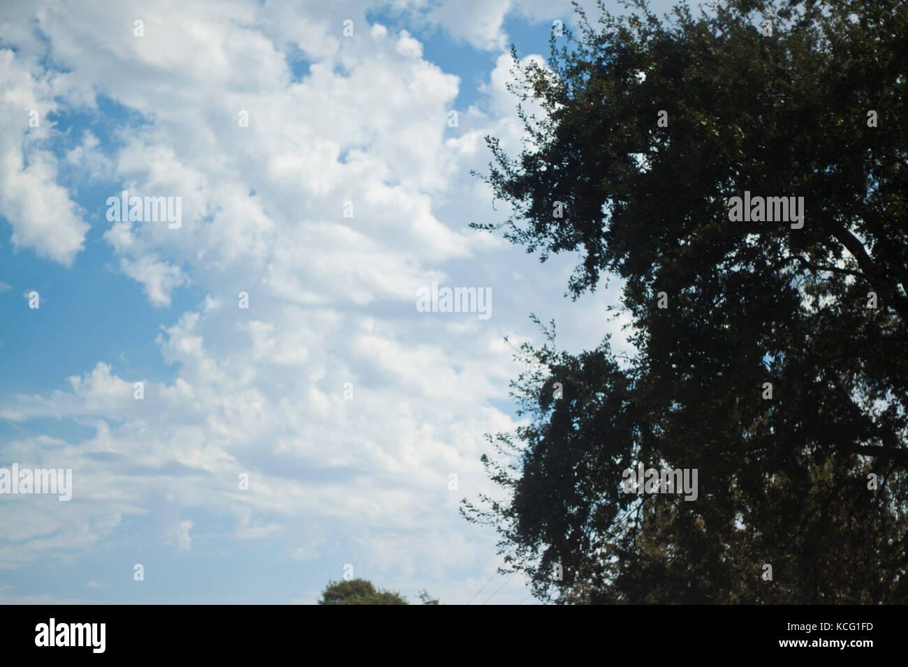 Dry bright hot sunny hi-res stock photography and images - Alamy