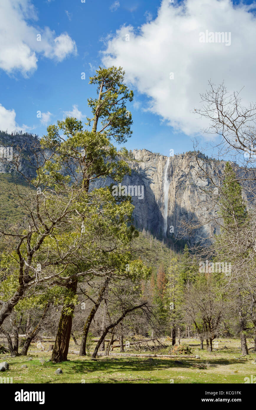 Waterfall and EI Captain view at Yosemite National Park, California, USA Stock Photo