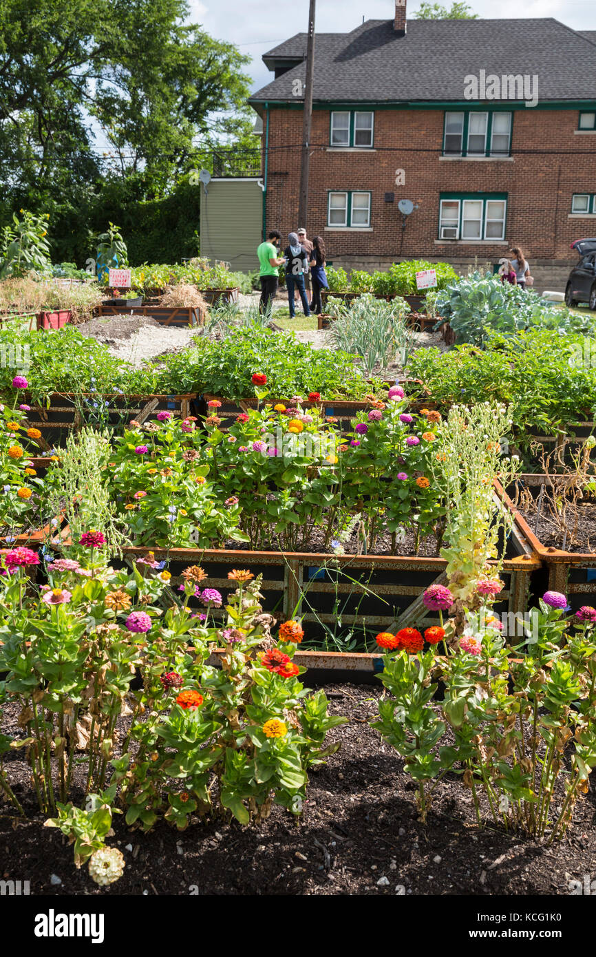 Detroit, Michigan A community garden in a neighborhood