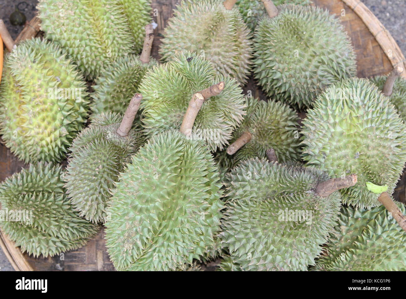 Durian Frucht in Südostasien - Durian fruit in Southeast Asia Stock Photo