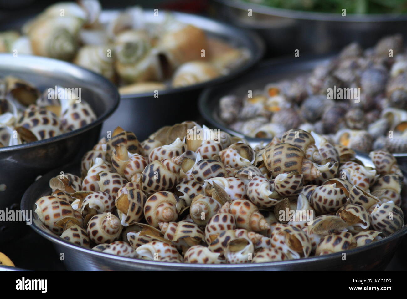 Snails on market in Vietnam to eat - Schnecken auf Markt in Vietnam zum essen Stock Photo