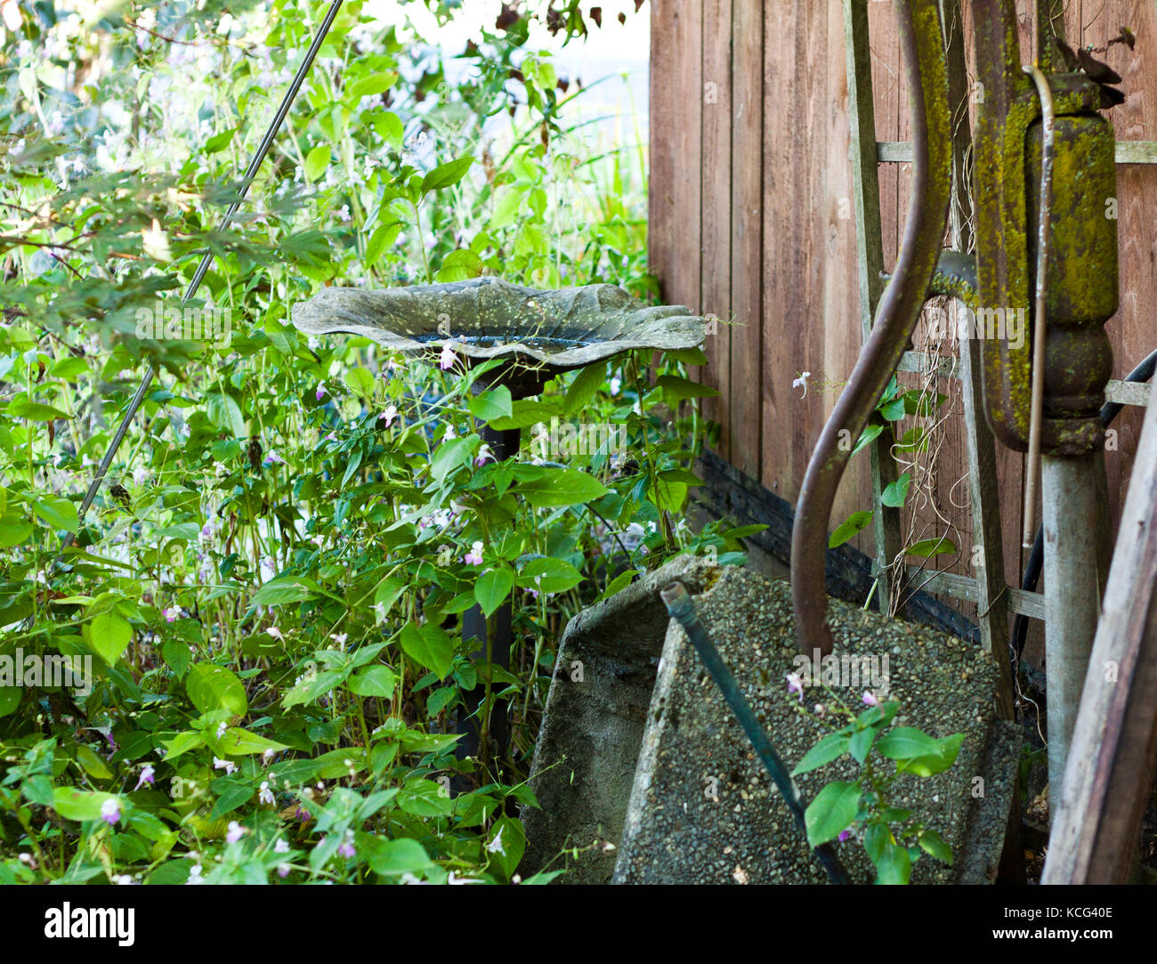 Old garden with birdbath and spigot Stock Photo