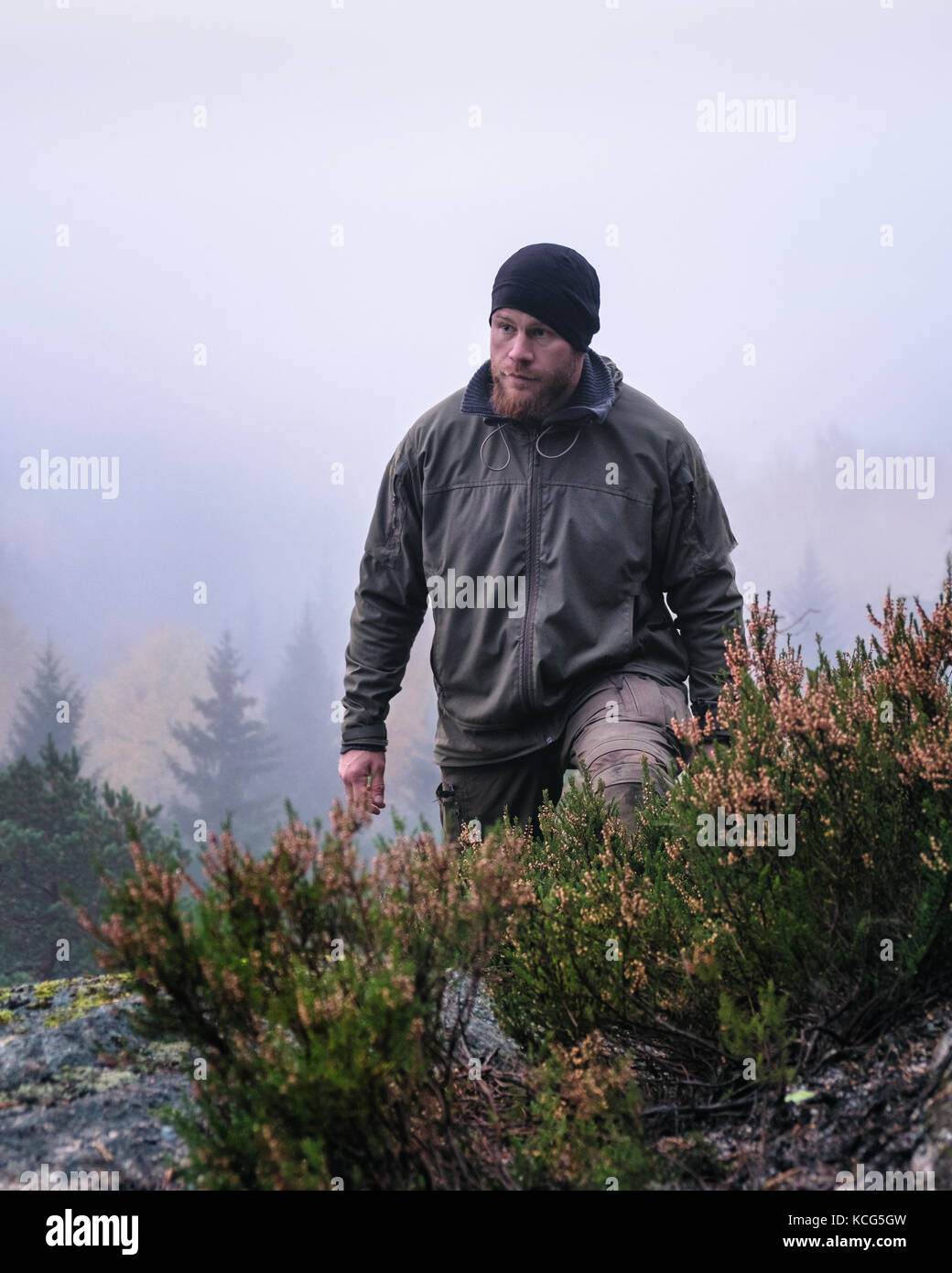 Man hiking in the forest at foggy morning Stock Photo