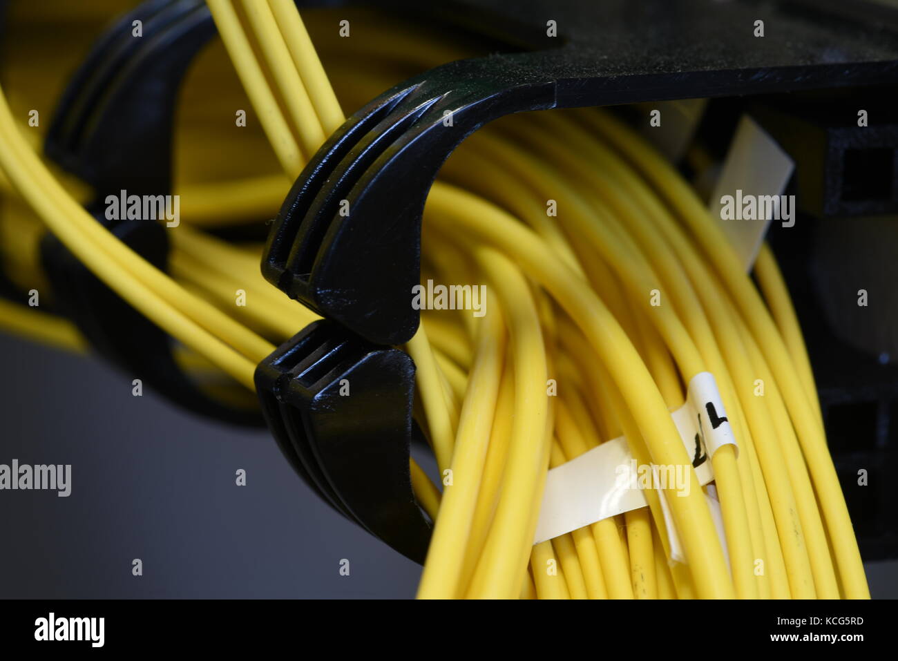 Server rack with optical patch cord cables close up Stock Photo Alamy
