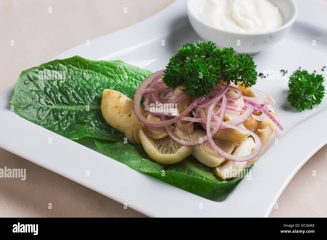 Appetizer of pickled mushrooms with herbs, onions and sour cream Stock Photo
