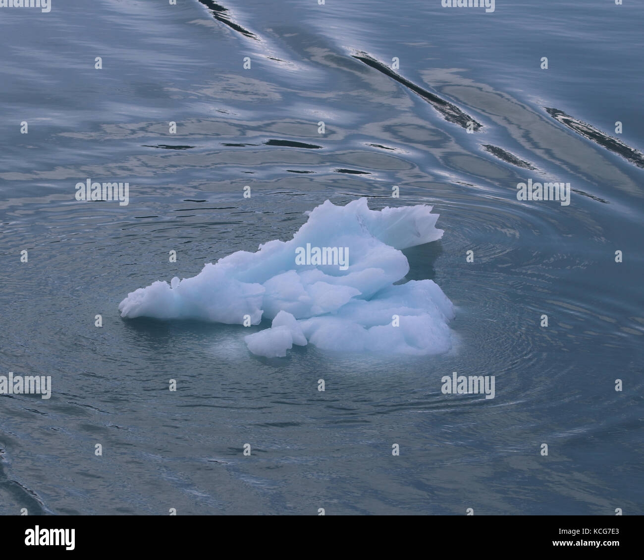 Single small iceberg floating in Glacier Bay National Park and Preserve ...