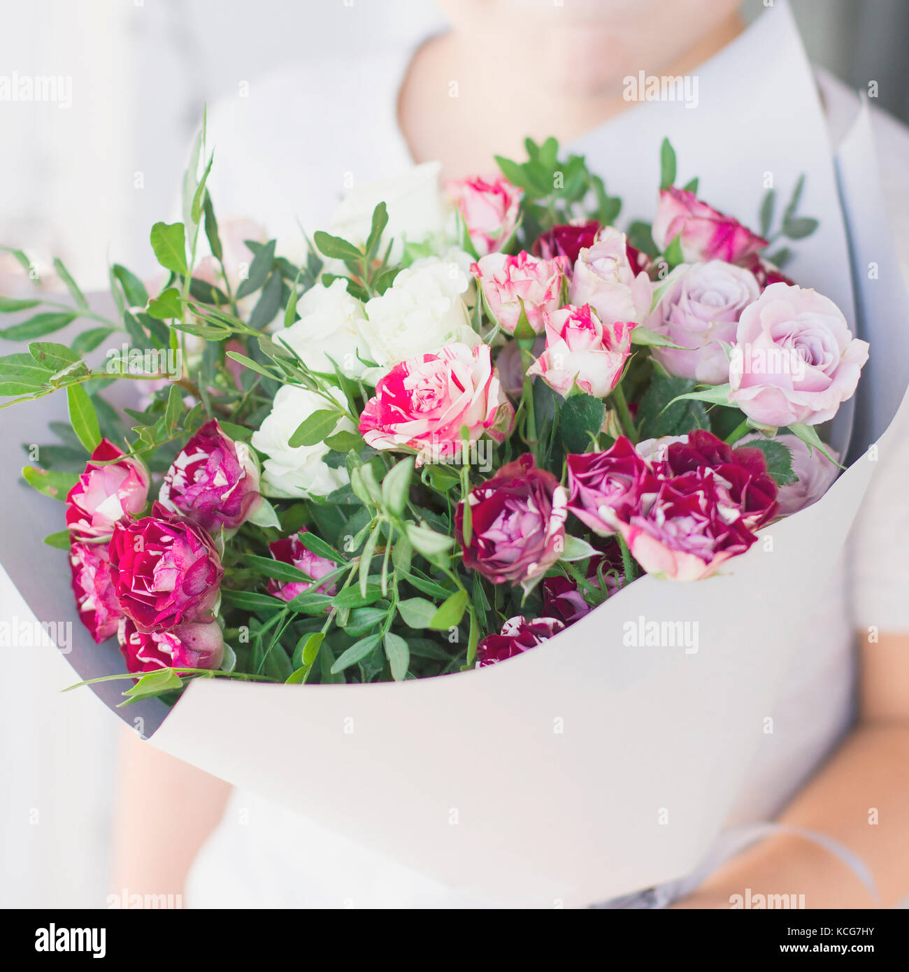 Spray Paper Roses Spray roses hi-res stock photography and images - Alamy