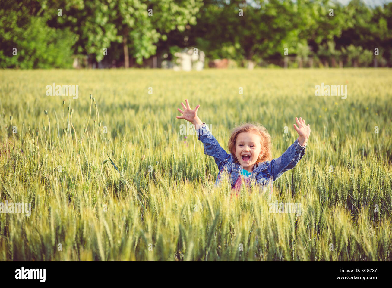 Happy girl with raised hands playing in wheat field Stock Photo - Alamy