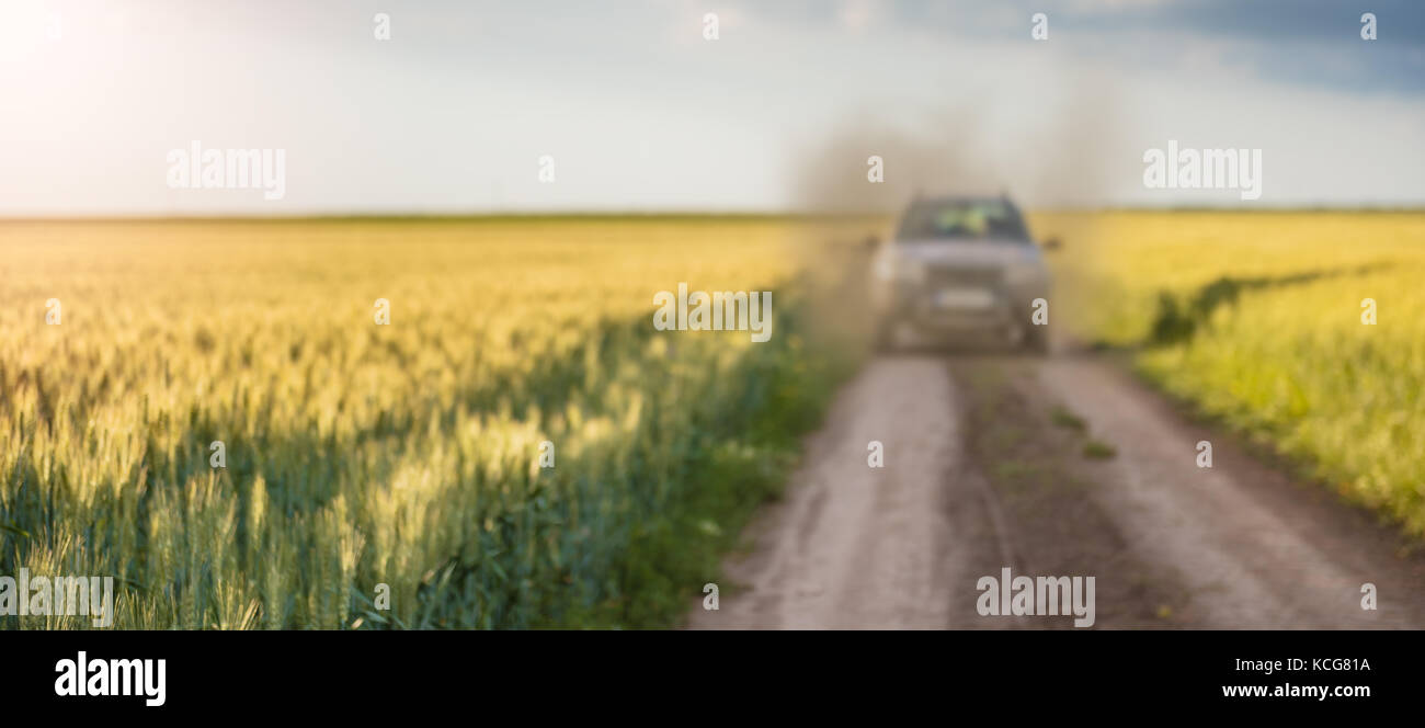 Truck on a dusty gravel road driving through wheat fields Stock Photo