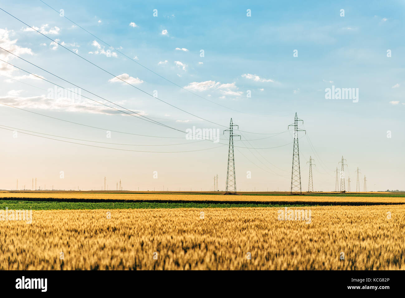 Power towers in the yellow wheat field Stock Photo