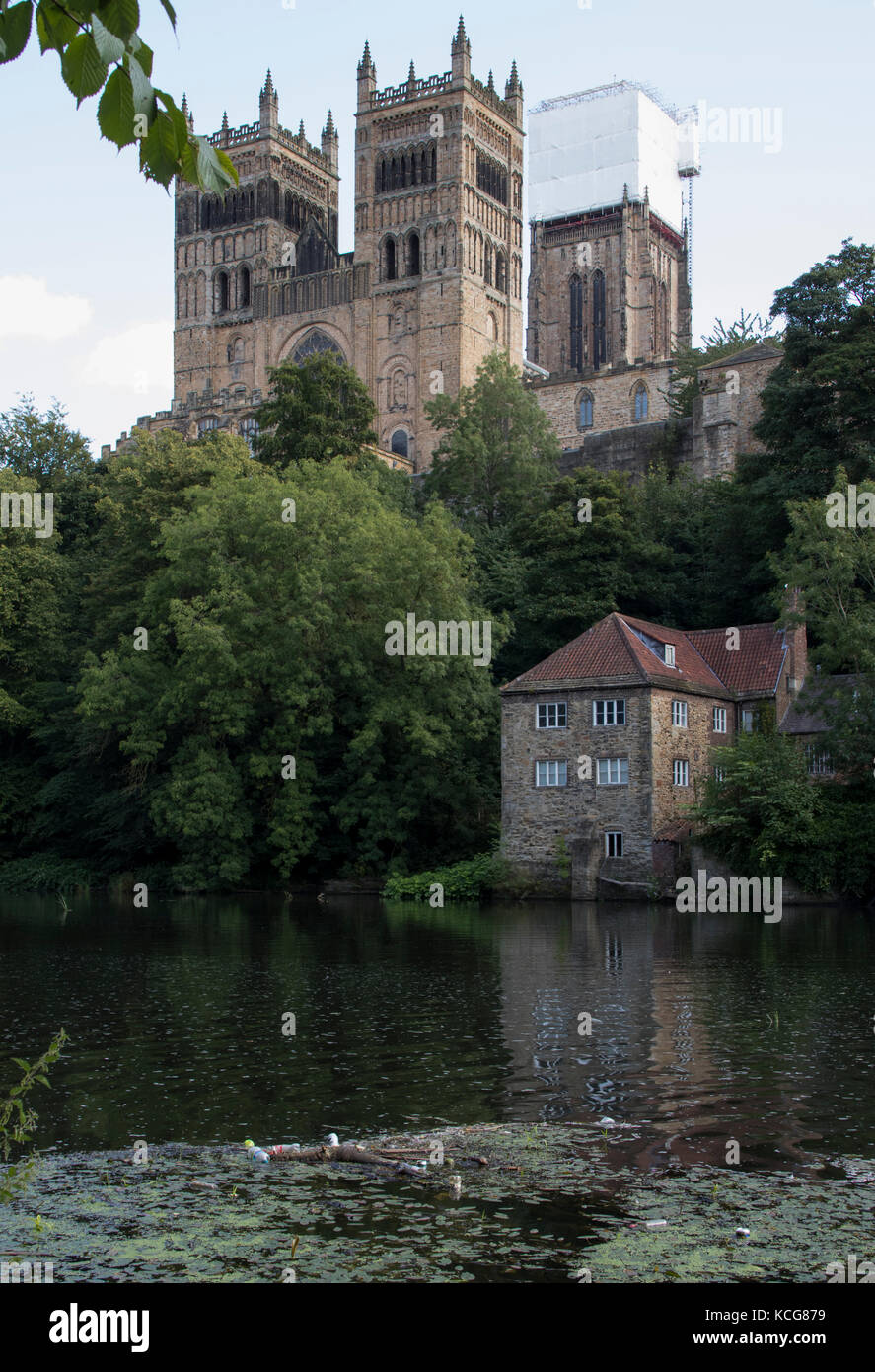 Durham Cathedral on River Wear with plastic bottles and other litter in water Stock Photo