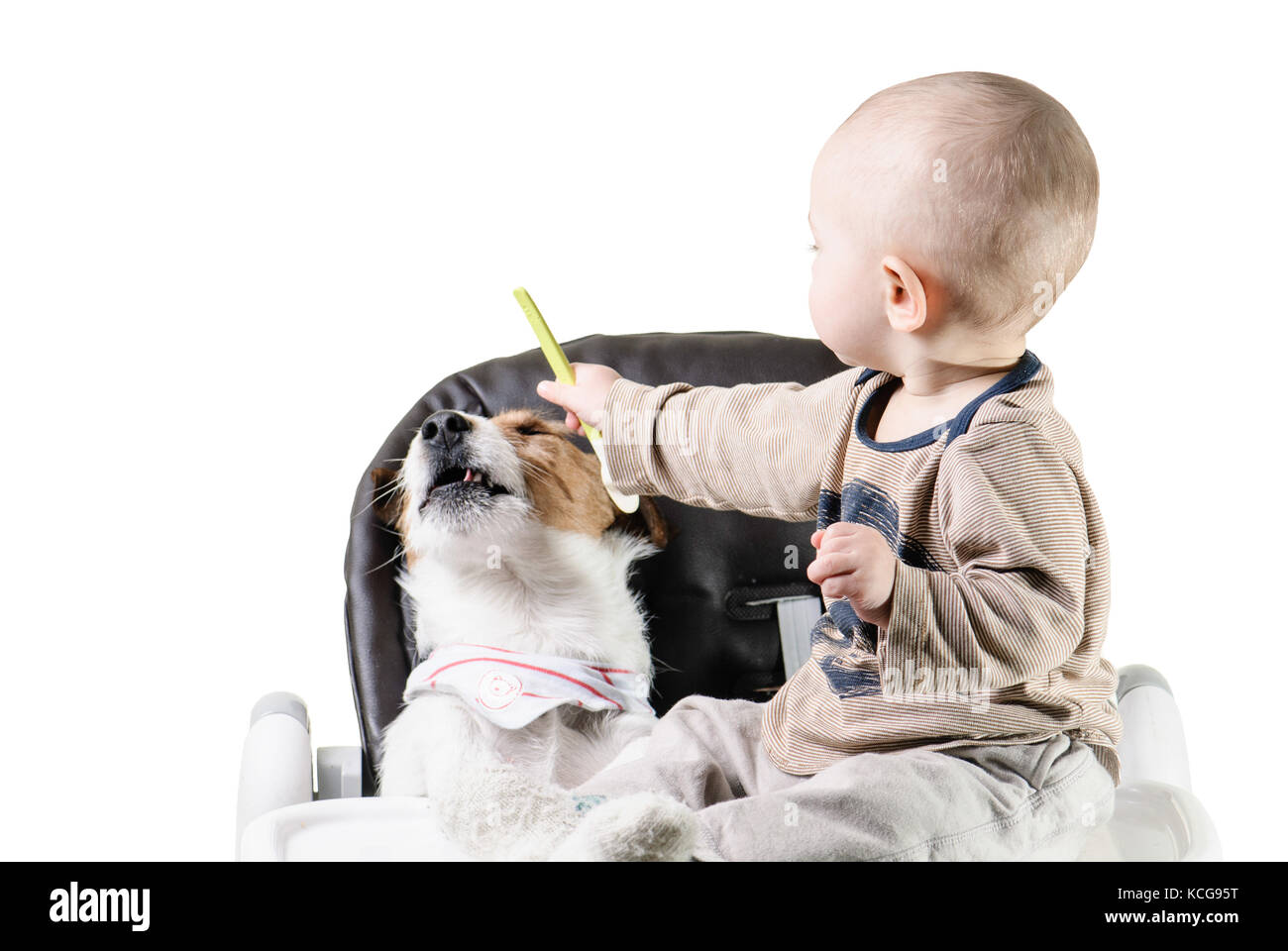Baby boy feeds his dog pet refusing to eat Stock Photo Alamy