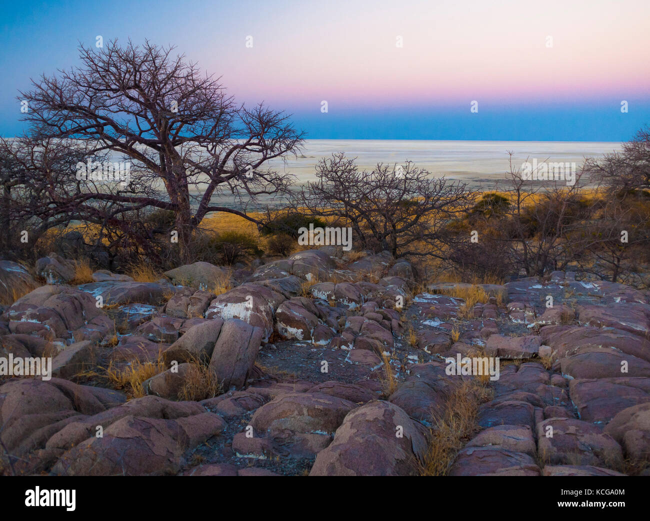 Kubu Island, Botswana Stock Photo