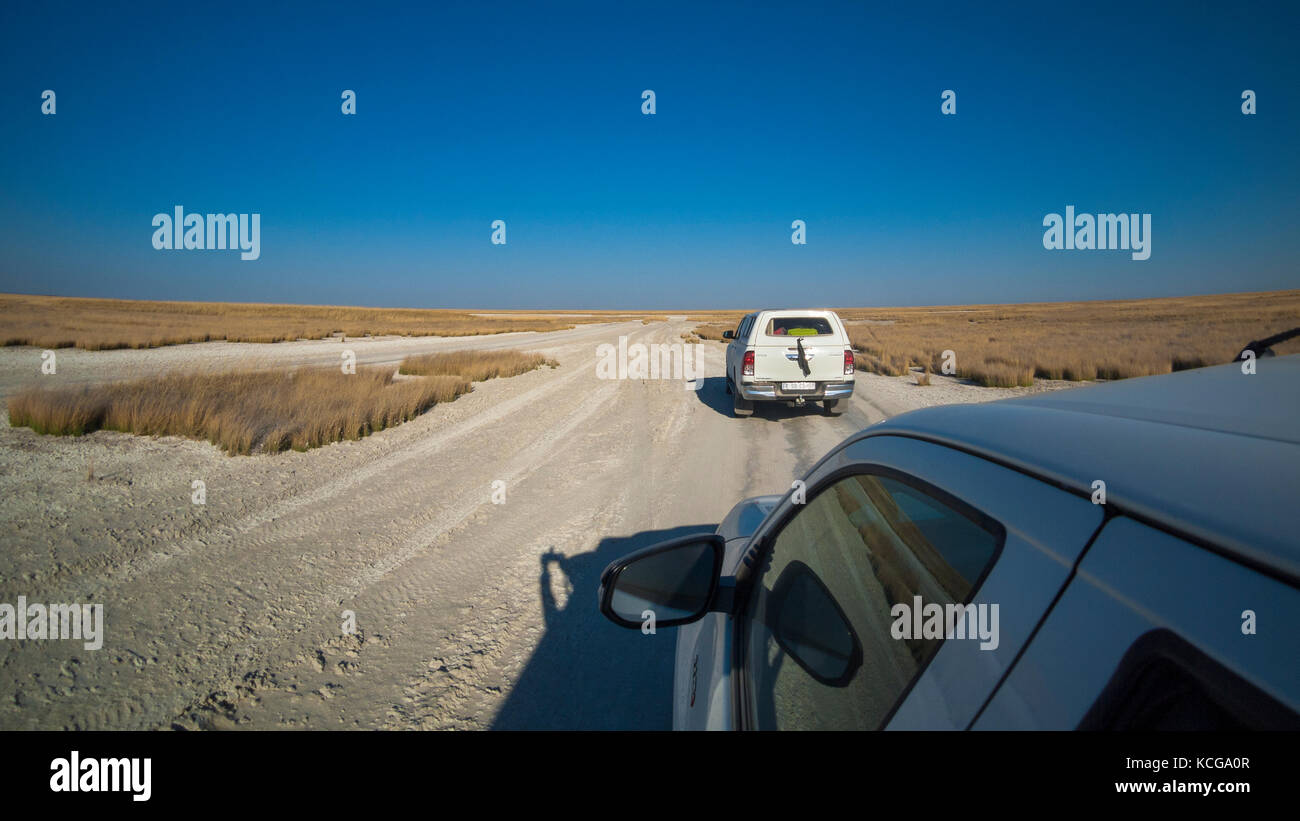 Sua Pan, Makgadikgadi National Park, Botswana Stock Photo