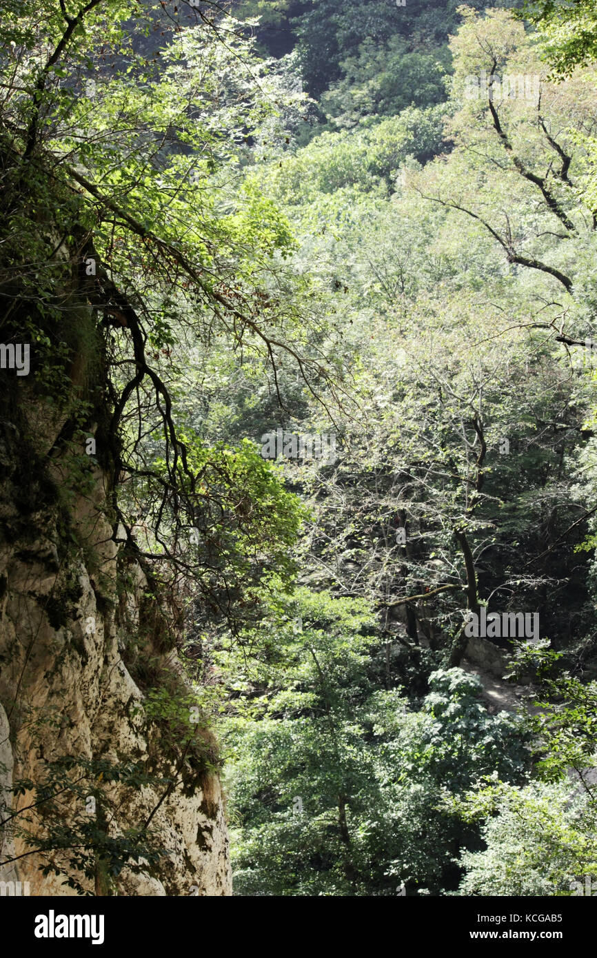 White Rocks. Another name is Eagle Rocks. Krasnodar region. Absolutely ...