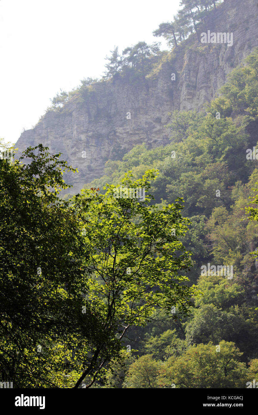 White Rocks. Another name is Eagle Rocks. Krasnodar region. Absolutely ...