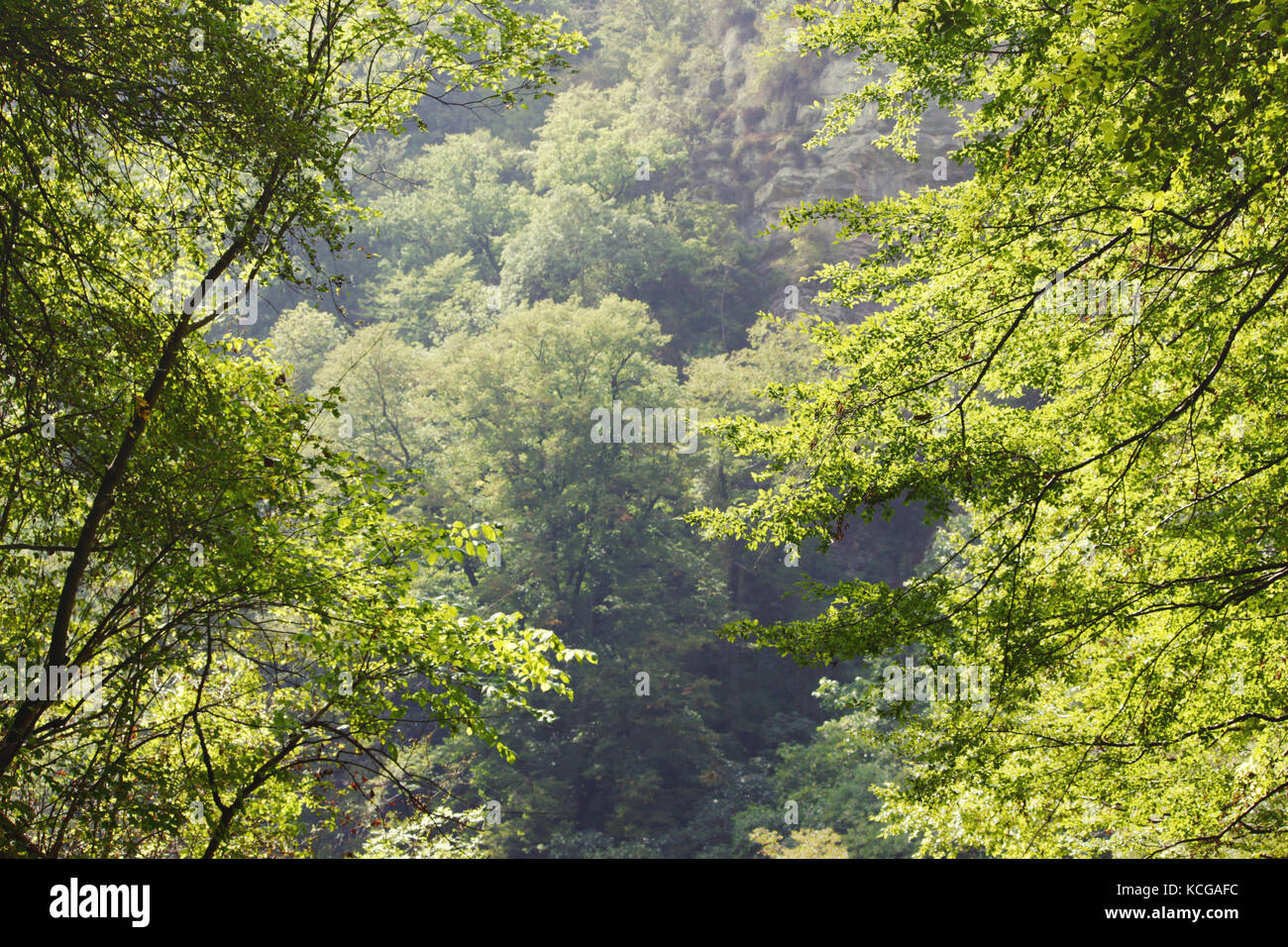 White Rocks. Another name is Eagle Rocks. Krasnodar region. Absolutely ...