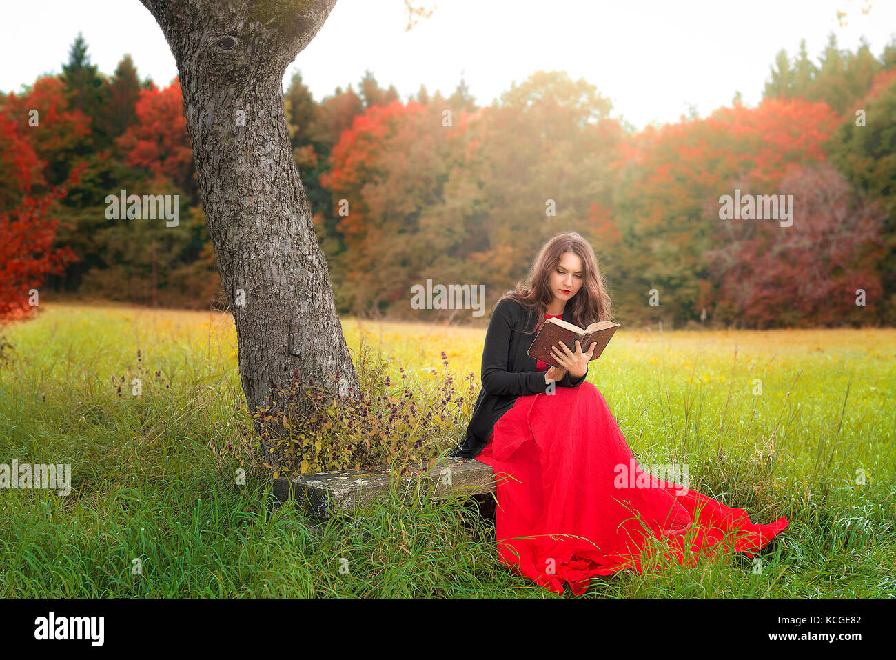 Beautiful young woman, in an elegant red dress and jacket, sitting on a wooden bench, under an old tree, reading an antique book, in a colorful autumn Stock Photo