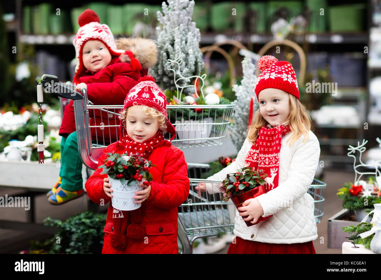 Family selecting Christmas tree. Kids choosing freshly cut Norway Xmas tree at outdoor lot. Children buying gifts at winter fair. Boy and girl shoppin Stock Photo