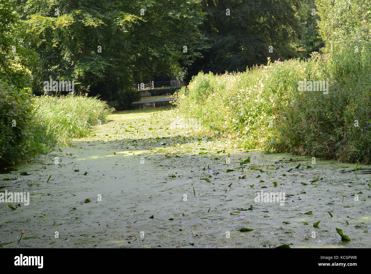 Canal through Anglesey abbey Cambridge Stock Photo