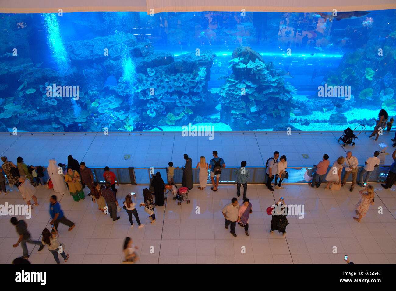 Dubai Aquarium in Dubai Mall, Dubai, United Arab Emirates Stock Photo