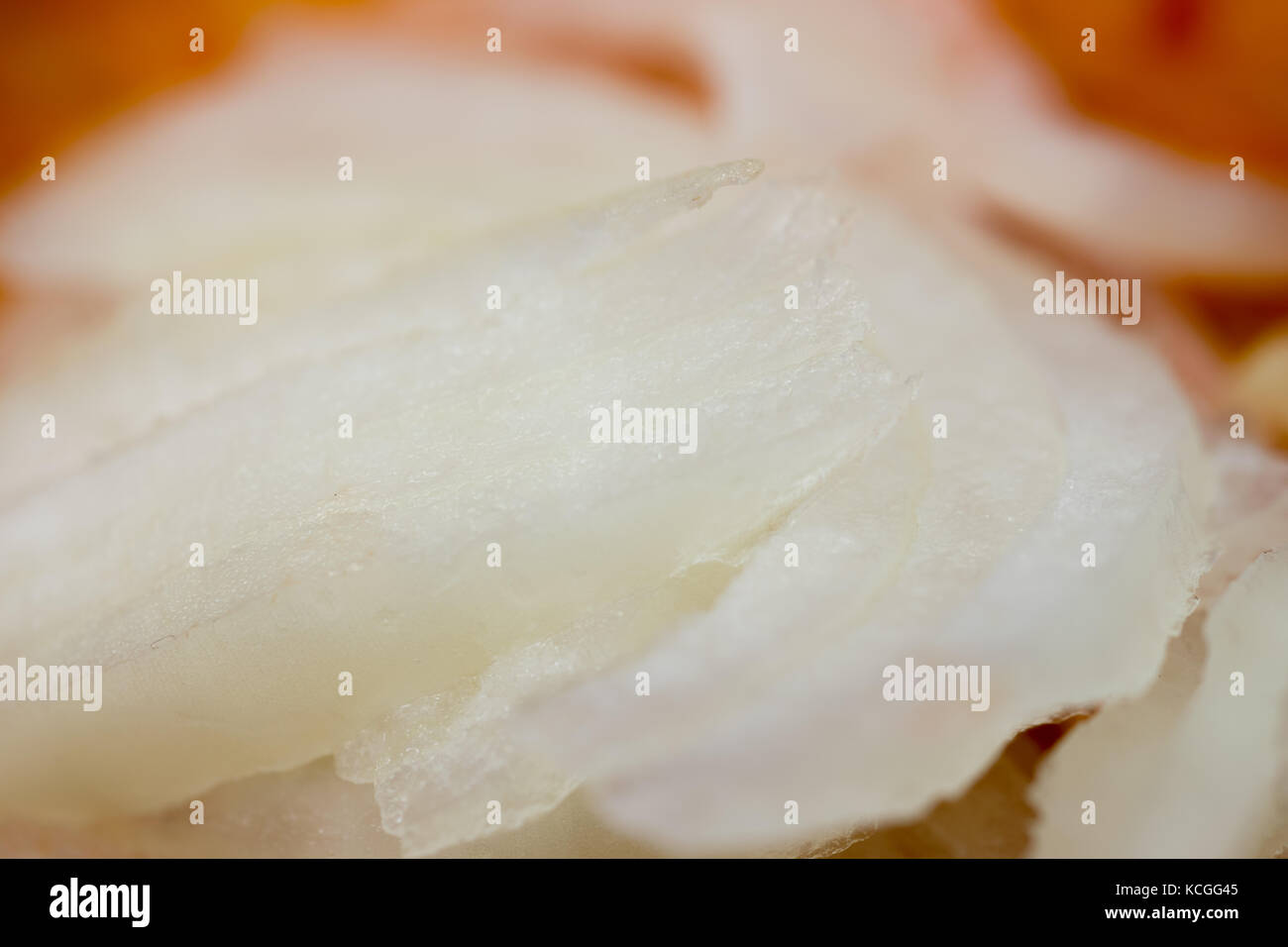 White onion slices hi-res stock photography and images - Alamy