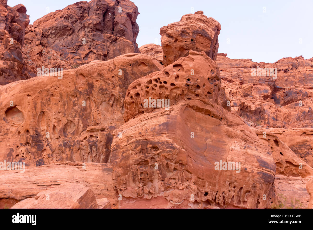 Porous hi-res stock photography and images - Alamy