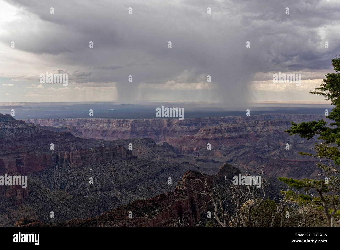 Rain falling on a distant plateau at the Grand Canyon Stock Photo