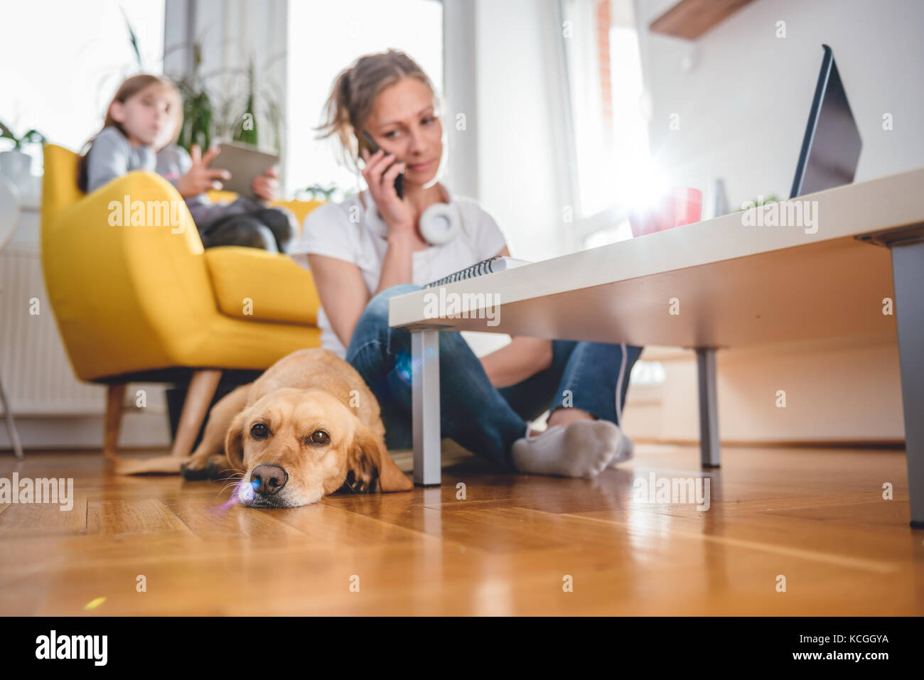 Small yellow dog laying on the floor by the woman who is talking on the smart phone Stock Photo