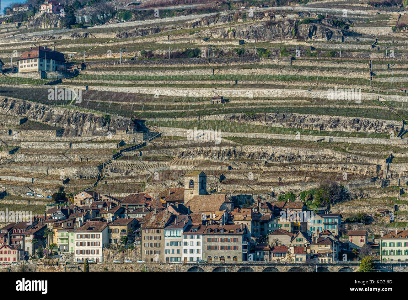 viticulture of Vaud, Switzerland Stock Photo