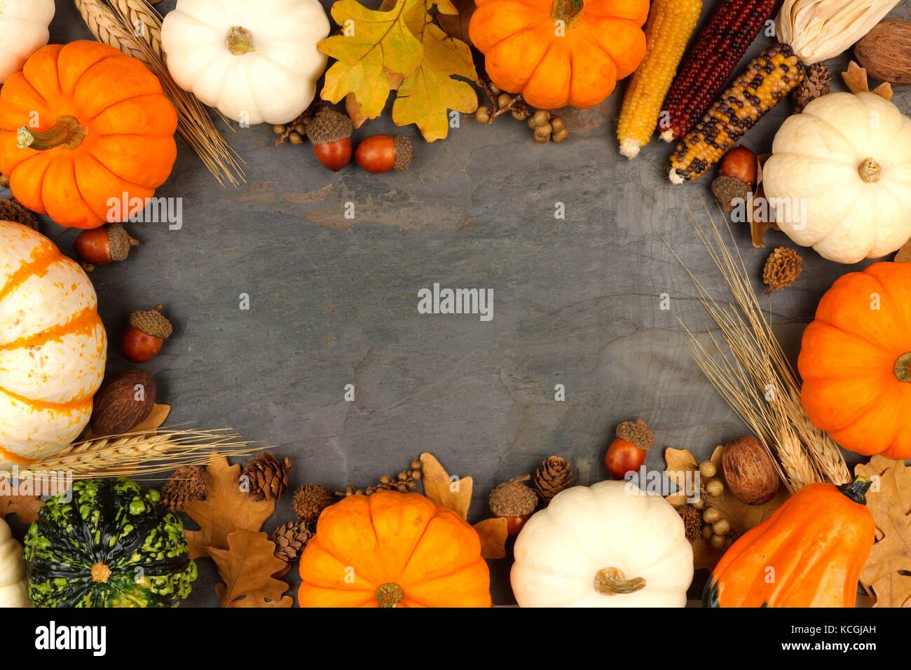 Autumn harvest frame with pumpkins, leaves and nuts over a slate stone ...