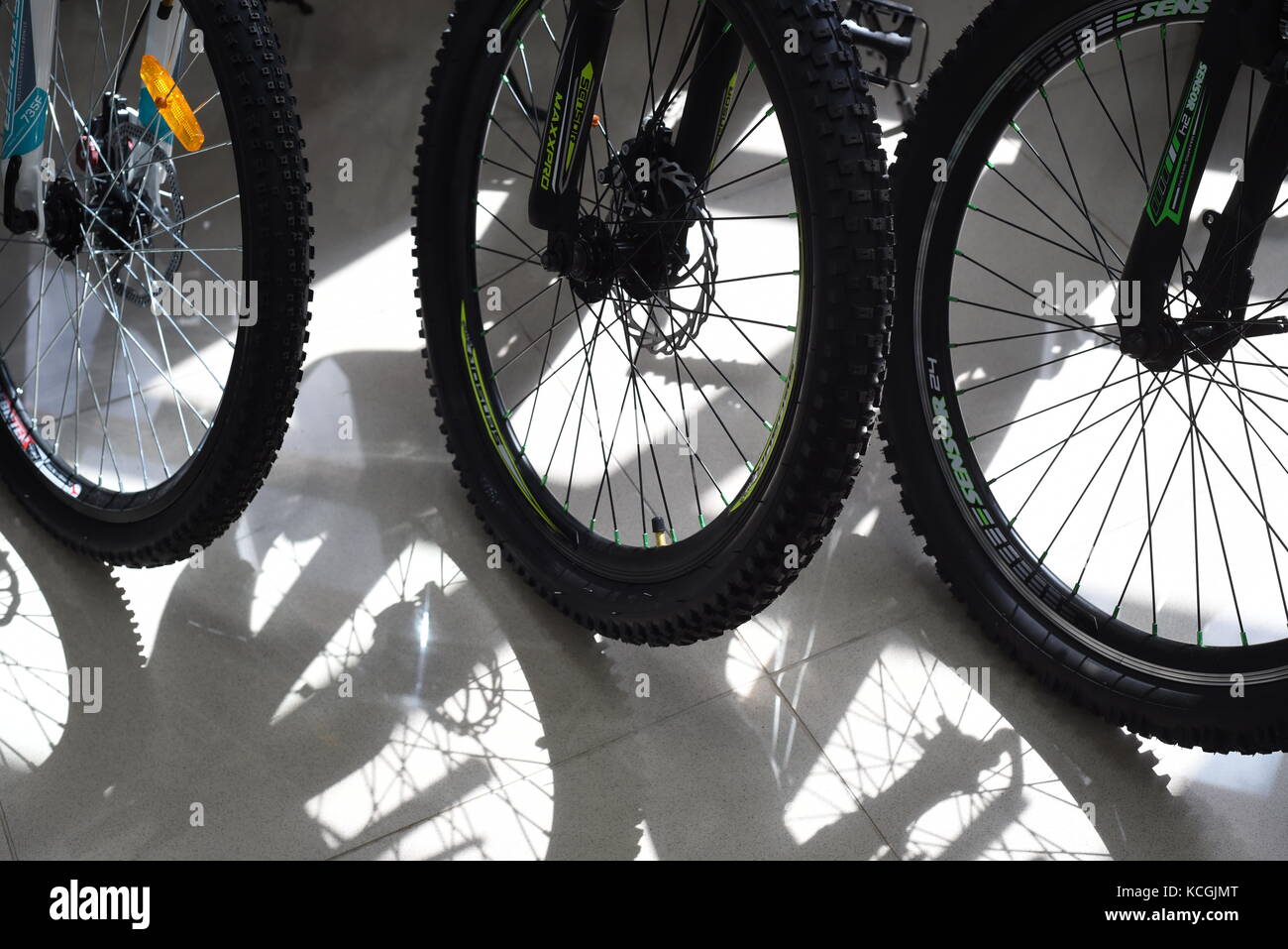 Rows of front wheels and tires of bikes on display with black rubber