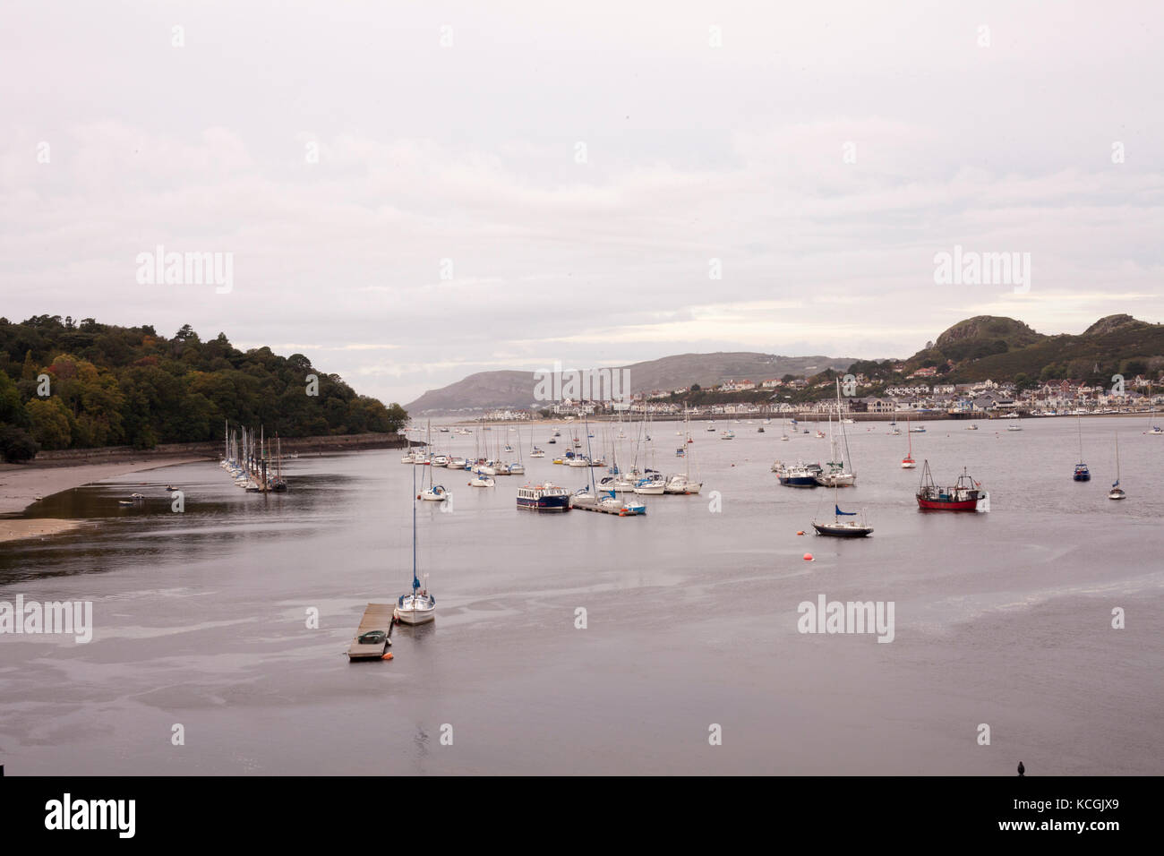 view of marina situated in uk with many ships Stock Photo