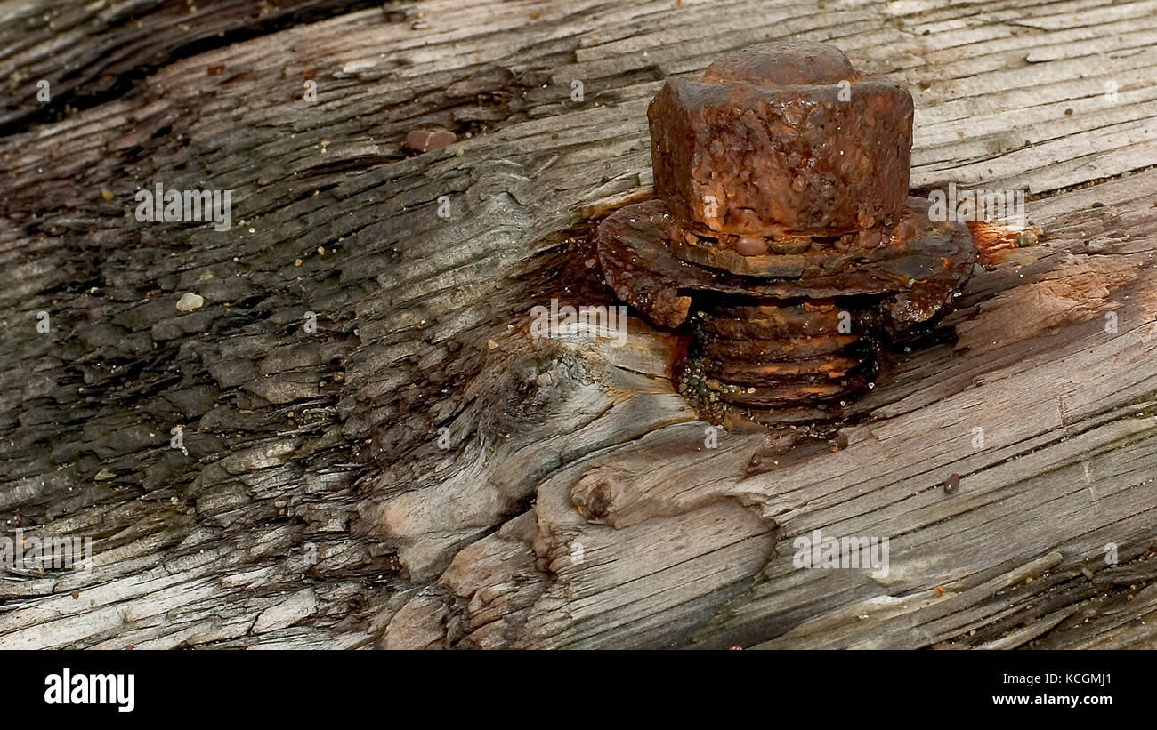 rusted nut and bolt with worn threads embedded in a weathered plank