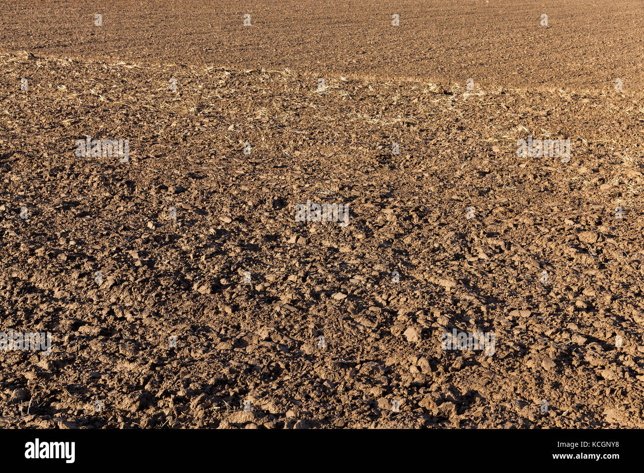 cultivated plowed soil treated in the agricultural field. Photographed ...