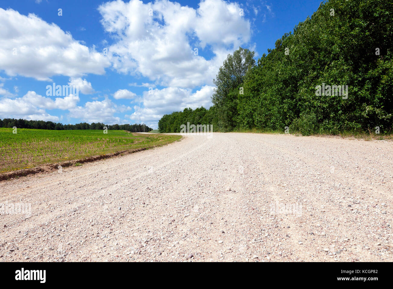 Sandy Road Through The Field Sunny Day In The Summer Photo - 