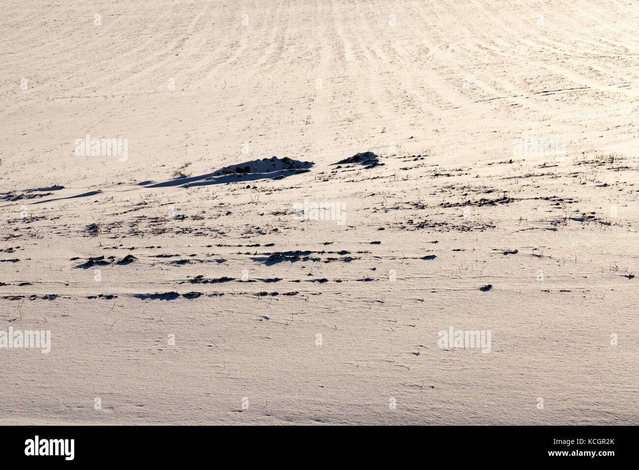 snow drifts after the past snowfall. On the surface irregularities from ...