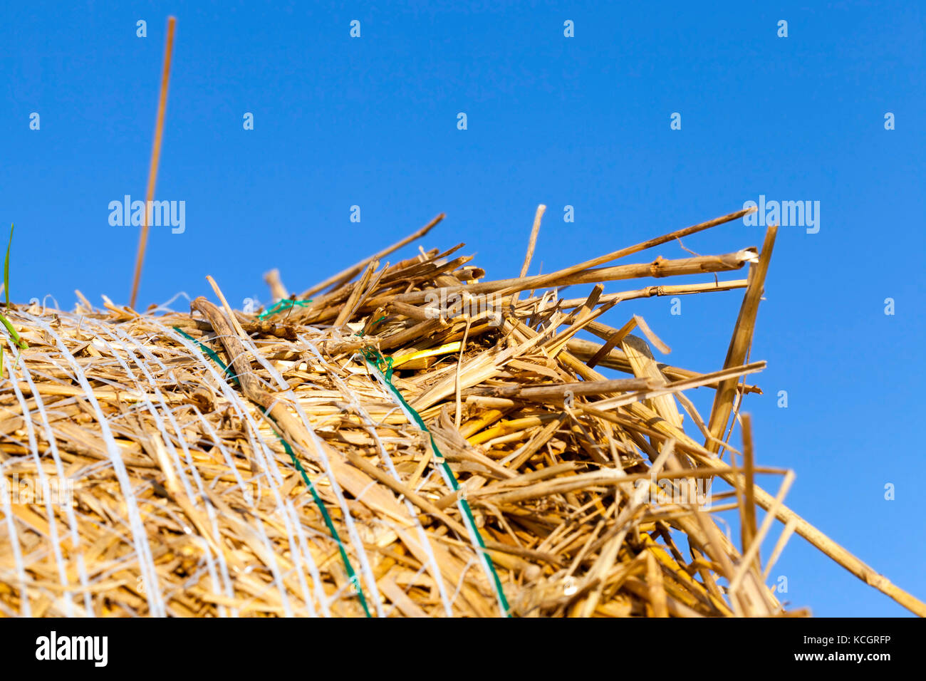 a bale of straw against a blue sky. Countryside in summer Stock Photo ...