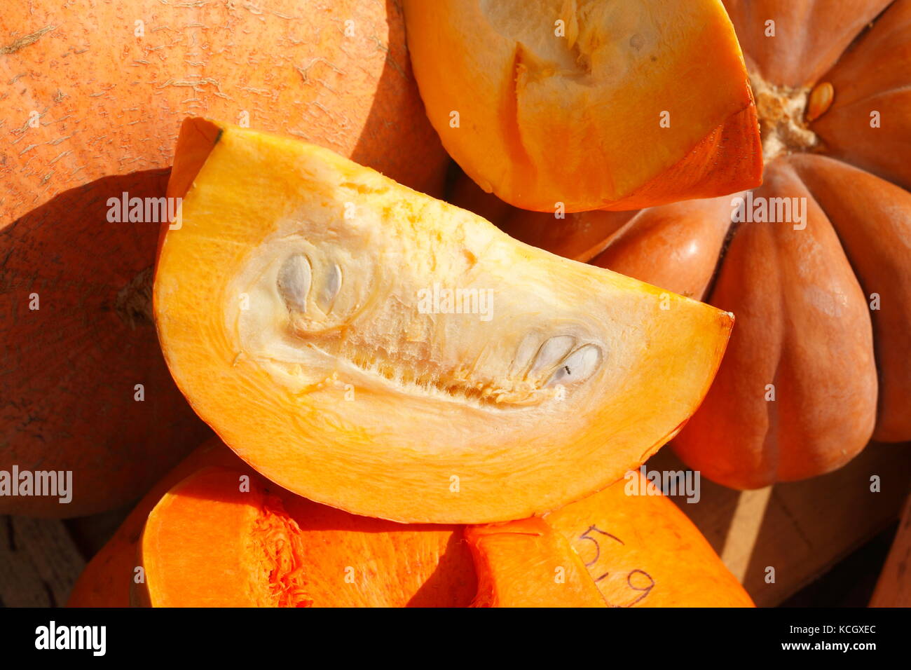 fresh pumpkin on a market stall Stock Photo - Alamy