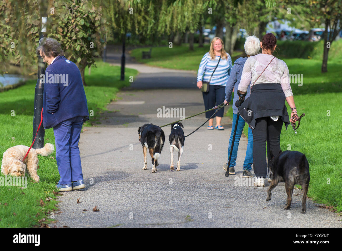 Dog walkers - people walking their dog in a park. Stock Photo