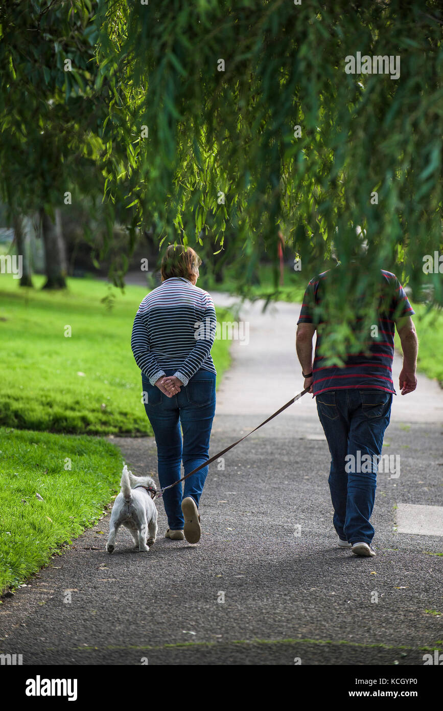 Dog walkers - a couple walking their dog in a park. Stock Photo